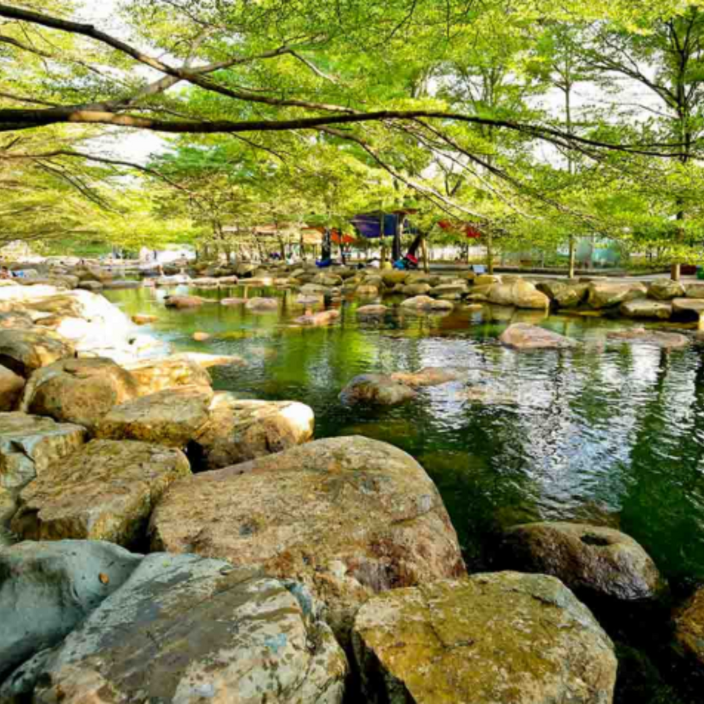 Top 9 địa điểm du lịch gần Sài Gòn lý tưởng cho chuyến đi ngắn ngày