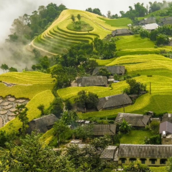 Một số lưu ý để du lịch Hoàng Su Phì có những trải nghiệm tuyệt vời.
