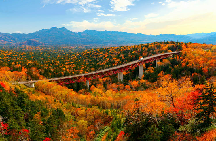 6 địa điểm có mùa lá đỏ đẹp nhất tại Nhật Bản