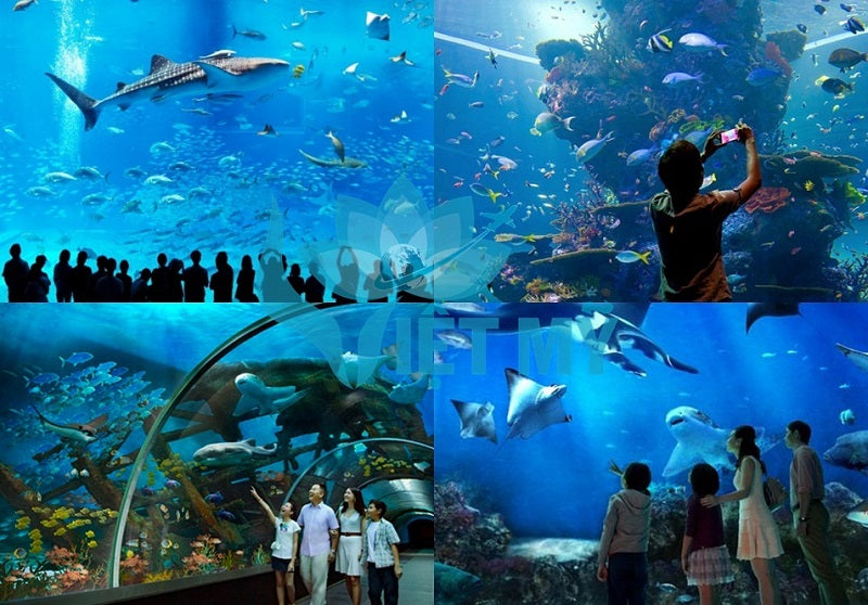 Khám phá thủy cung SEA Aquarium Singapore