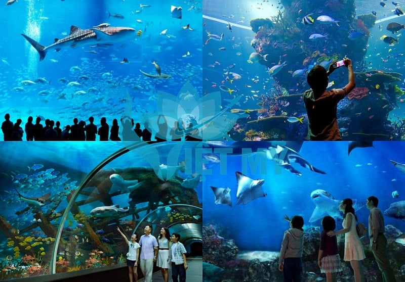 Khám phá thủy cung SEA Aquarium Singapore – Đồ Tiện Ích