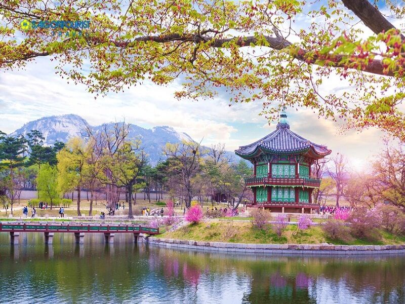 Tour du lịch Hàn Quốc 5 ngày 4 đêm - Từ Seoul đến Đảo Nami và công viên Everland