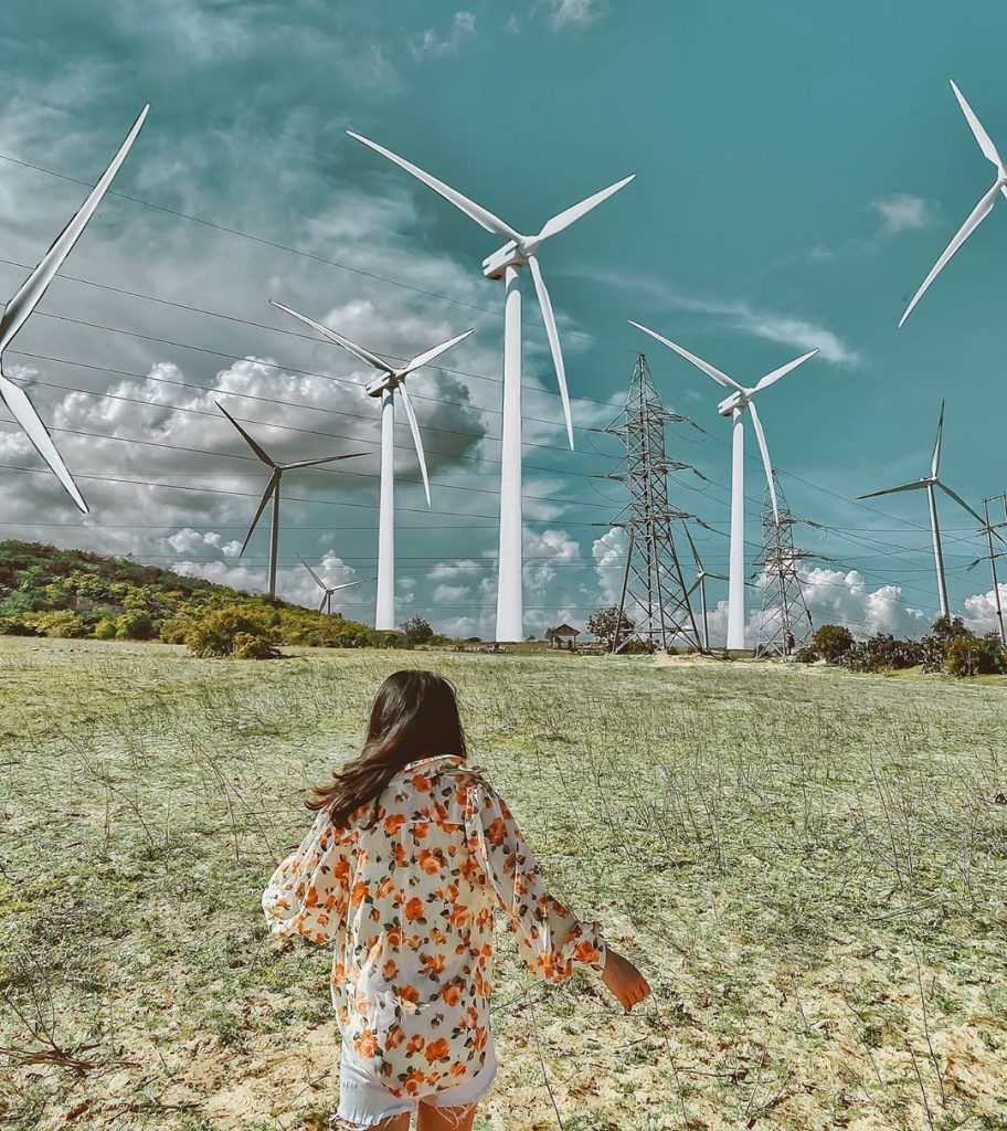 NHỮNG CÁNH ĐỒNG QUẠT GIÓ ĐẬM CHẤT CHÂU ÂU NGAY TẠI VIỆT NAM