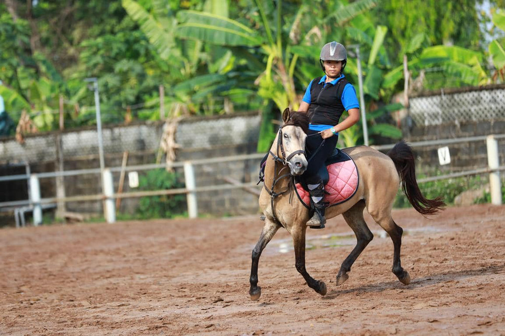 CƯỠI NGỰA - TRẢI NGHIỆM BỘ MÔN THỂ THAO QUÝ TỘC NGAY TẠI SÀI THÀNH
