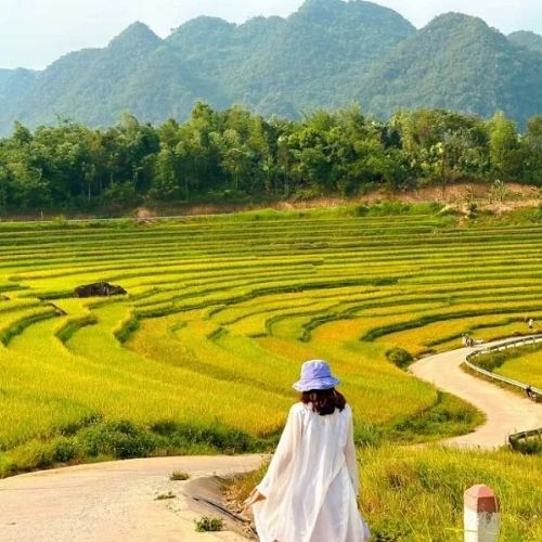 Pù Luông Thanh Hóa - Khu Du Lịch Thiên Nhiên Đẹp Nhất 2025