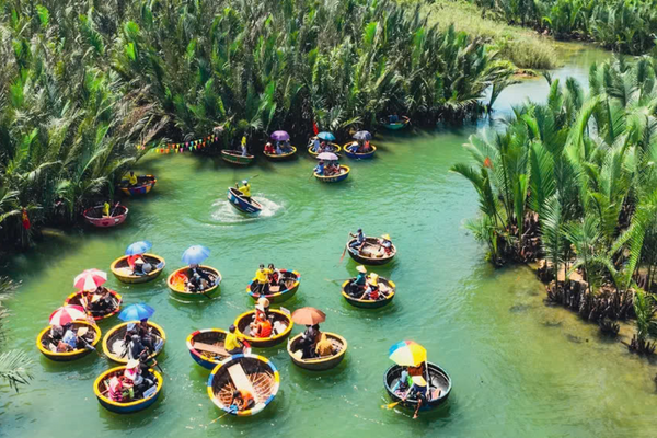 Rừng Dừa Bảy Mẫu Có Gì Hấp Dẫn? Giá Vé & Kinh Nghiệm Đi